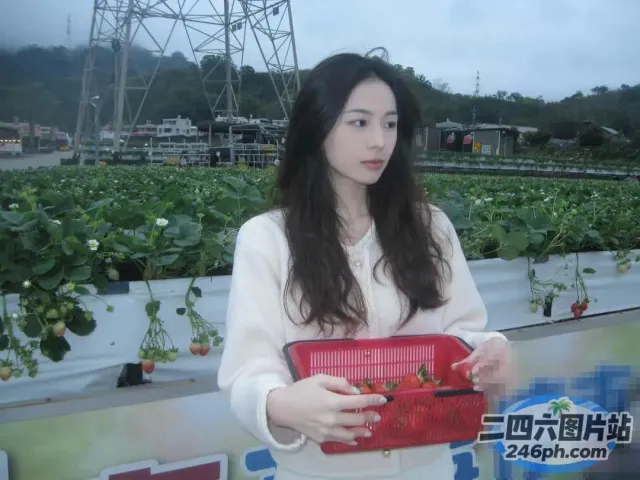 阿拉菲女人在田野里拿着一篮子草莓