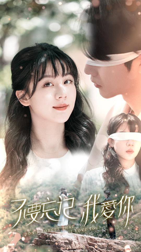 不要忘记我爱你 短剧封面图