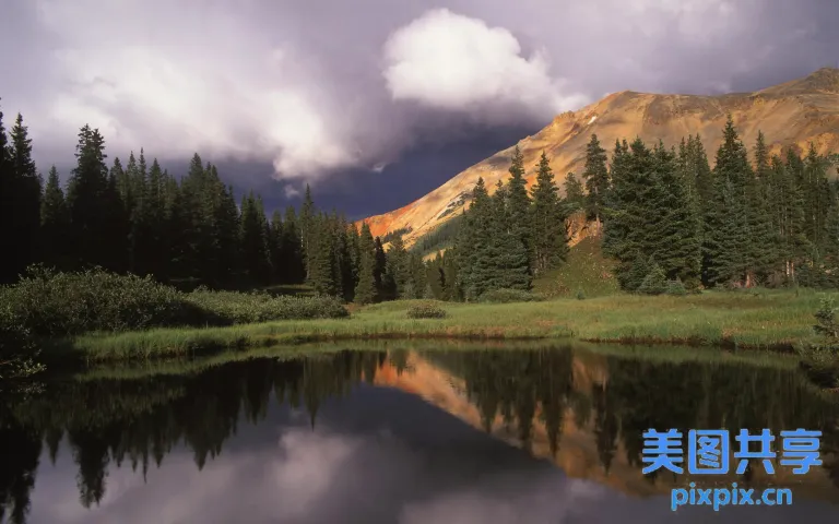 前景是树木，背景是一座山