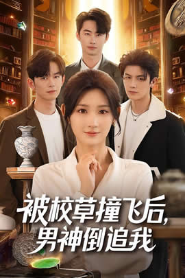 被校草撞飞后，男神倒追我封面图