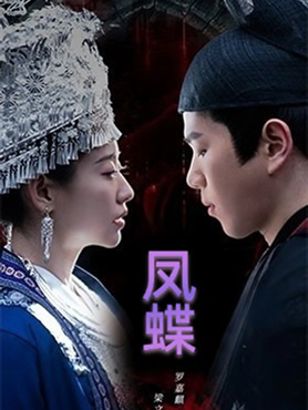 凤蝶封面图