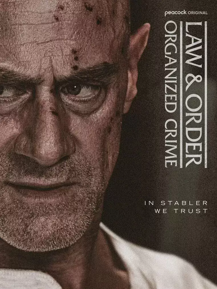 法律与秩序：组织犯罪第五季封面图