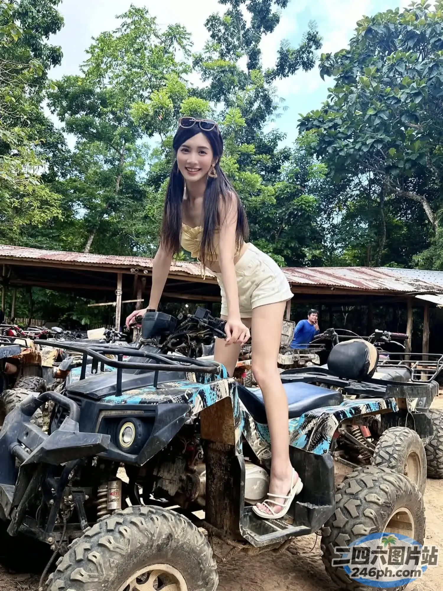四轮车上的花涓树