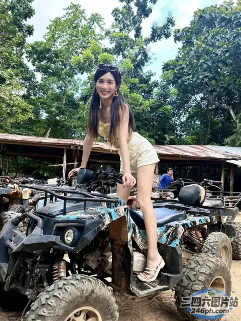 四轮车上的花涓树