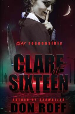 圣克莱尔封面图