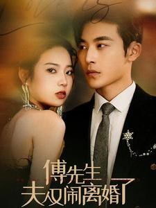 傅先生夫人又闹离婚了封面图