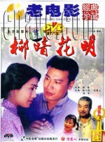 柳暗花明封面图