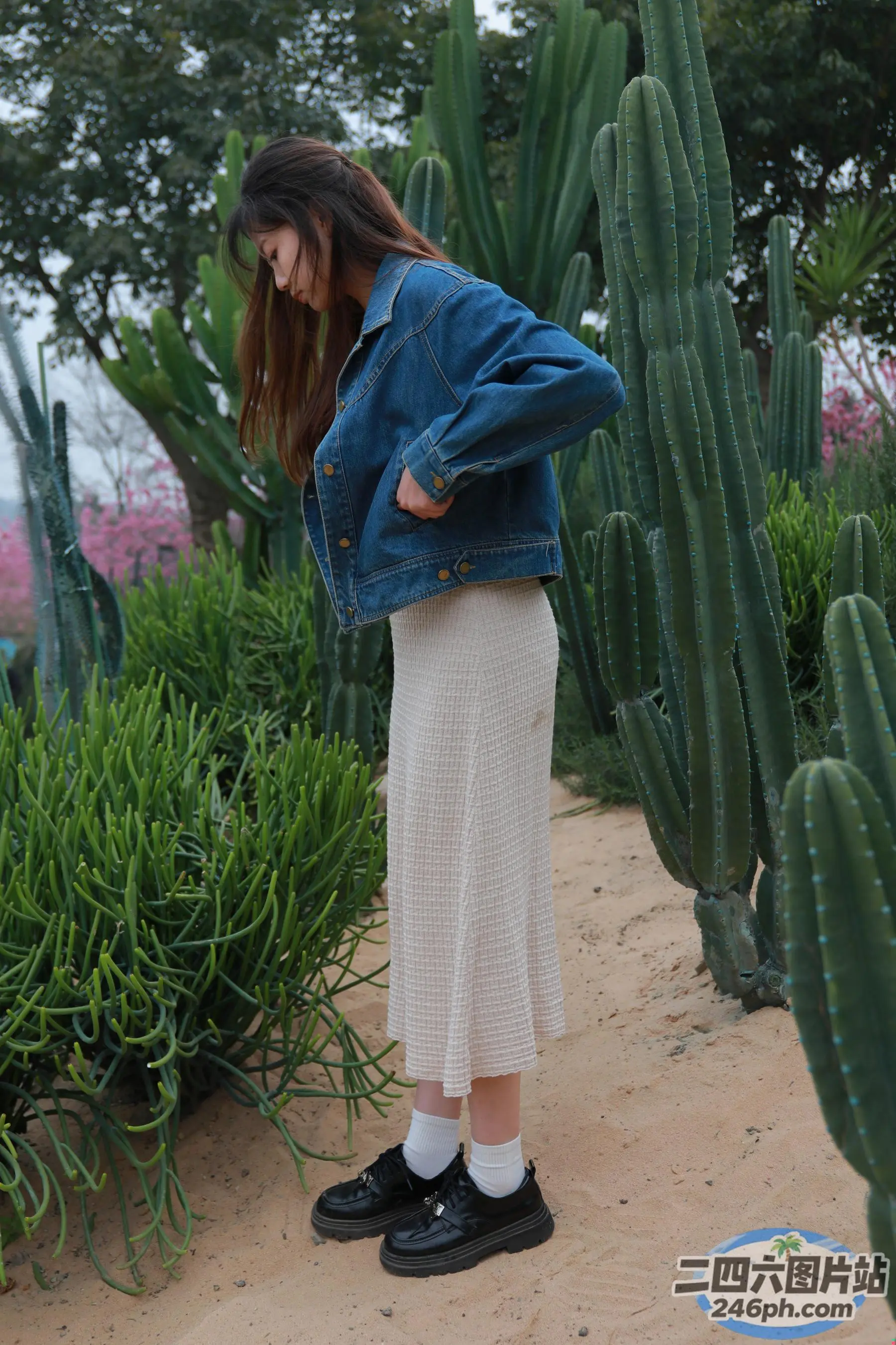站在沙漠中仙人掌植物前的 arafed 女人