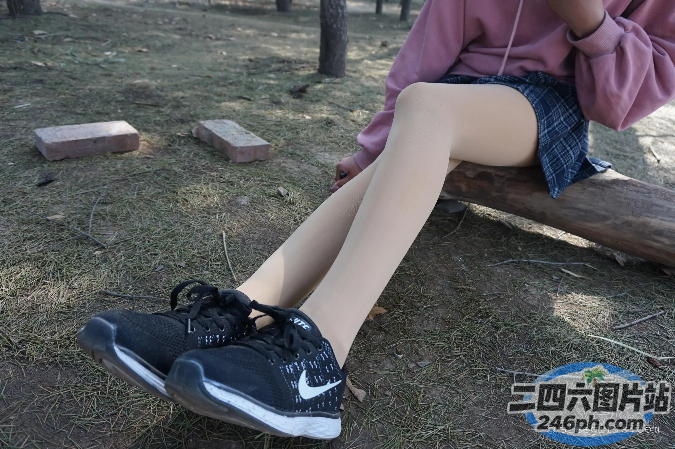 Araffe 坐在木头上吃热狗