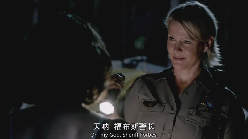 2014美剧《吸血鬼日记 第六季》22集全.BD1080P.英语中英双字截图