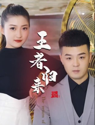 女婿驾到②王者归来封面图
