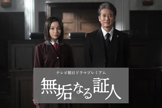 无垢的证人封面图
