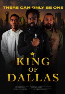 达拉斯之王封面图