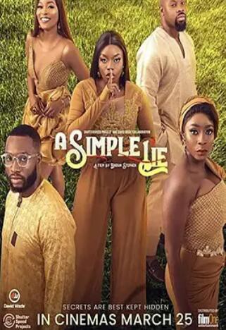 一个小谎封面图