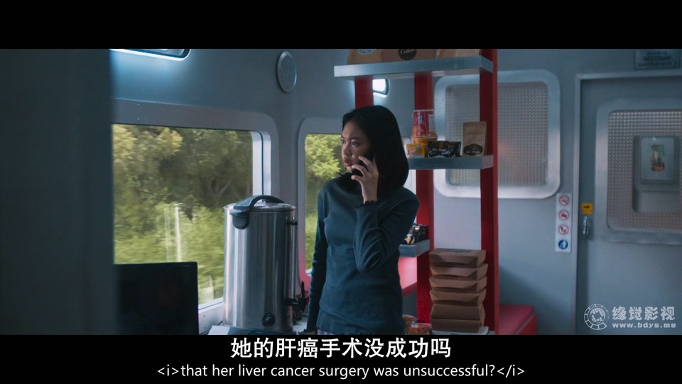 2024恐怖惊悚《血腥列车》HD1080P.英语中英双字截图