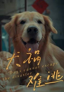 犬祸难逃封面图