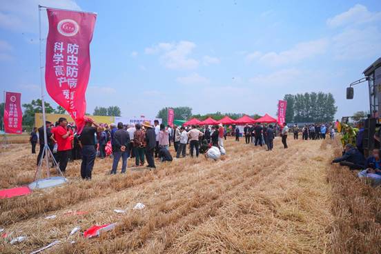 测产现场|爱丰收实打实收，一亩增产200余斤