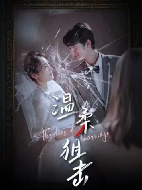 温柔狙击（婚姻迷雾）封面图