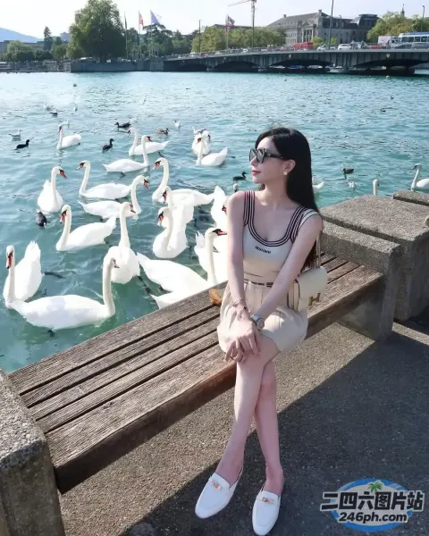女人坐在长凳上，天鹅在水中