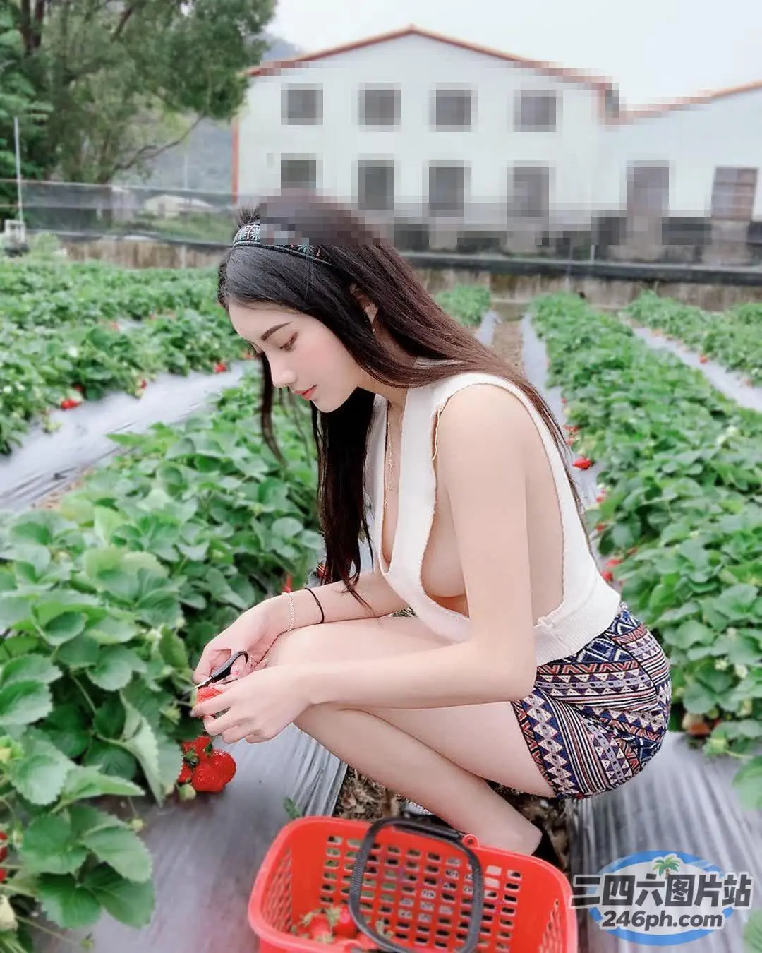 阿拉伯女孩在草莓田里采摘草莓