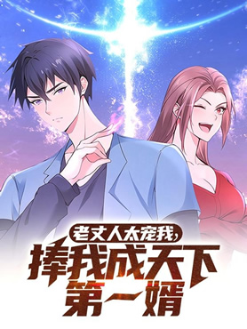 老丈人太宠我，捧我成天下第一婿封面图
