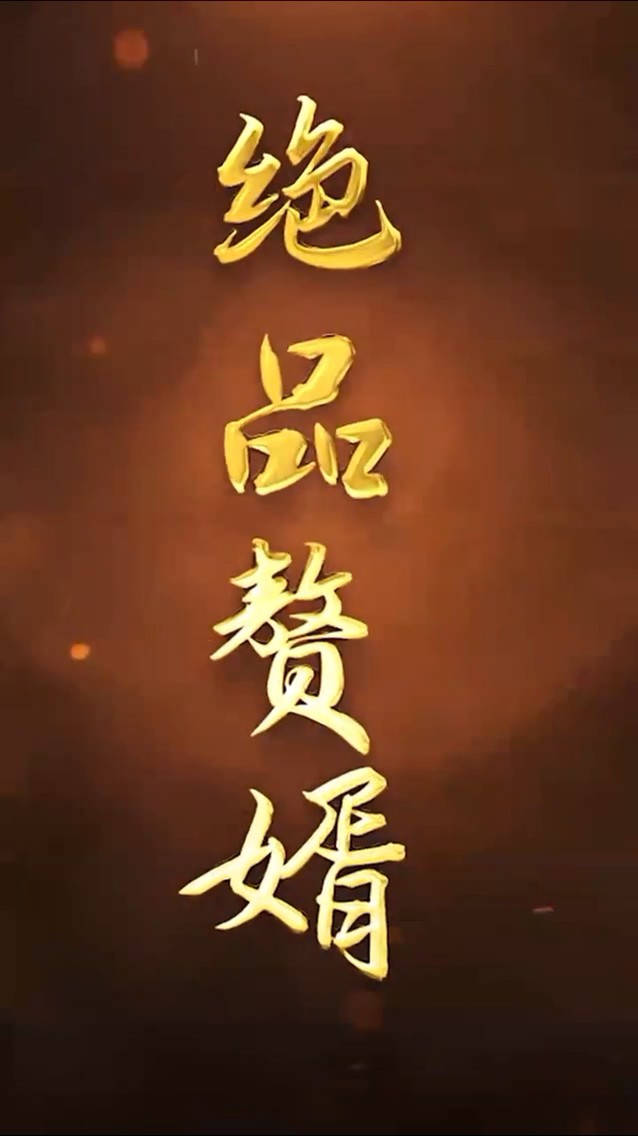 绝品赘婿封面图