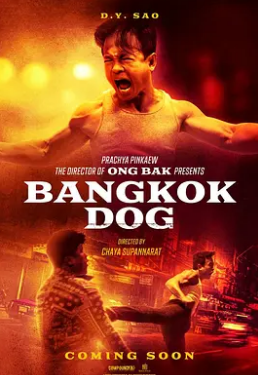 曼谷战狼封面图