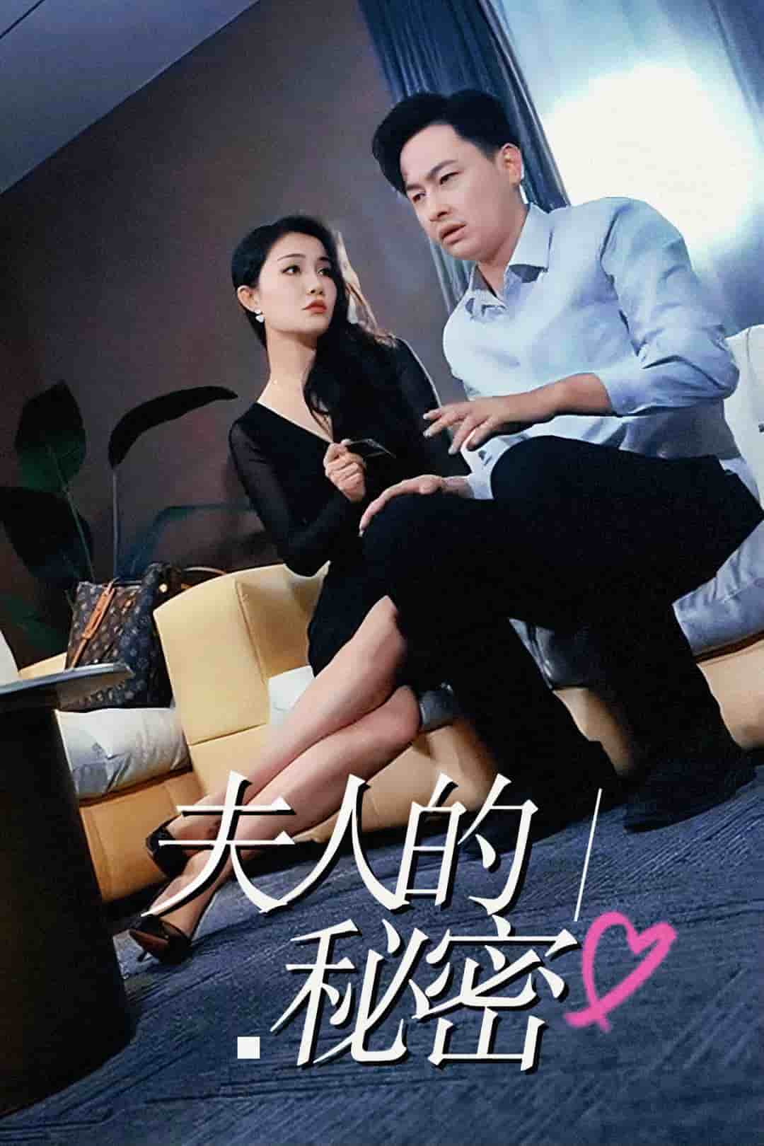 夫人的秘密封面图