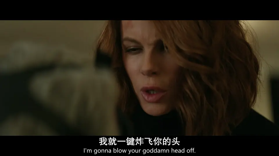 2024英国动作《黑雀特工》HD1080P.英语中英双字截图
