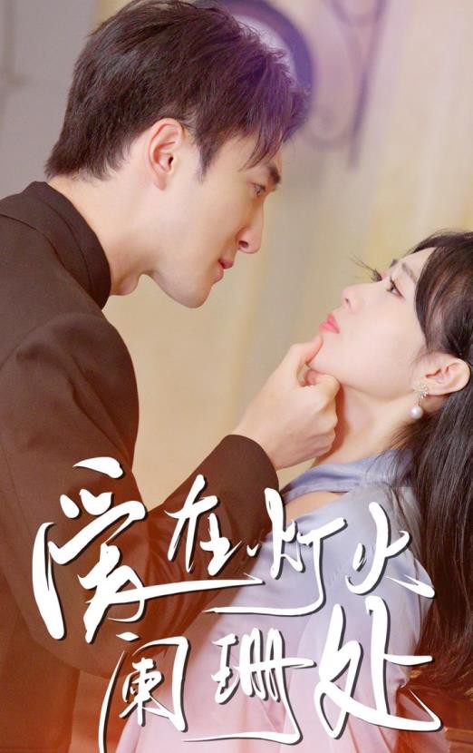 爱在灯火阑珊处封面图