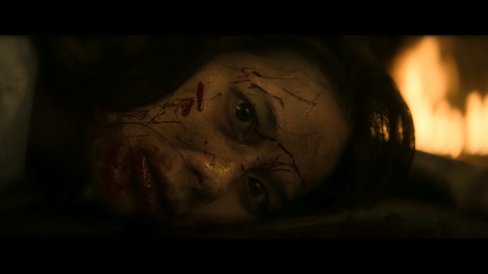 2024惊悚动作《叛影浪客》HD1080P.印度尼西亚语中字截图
