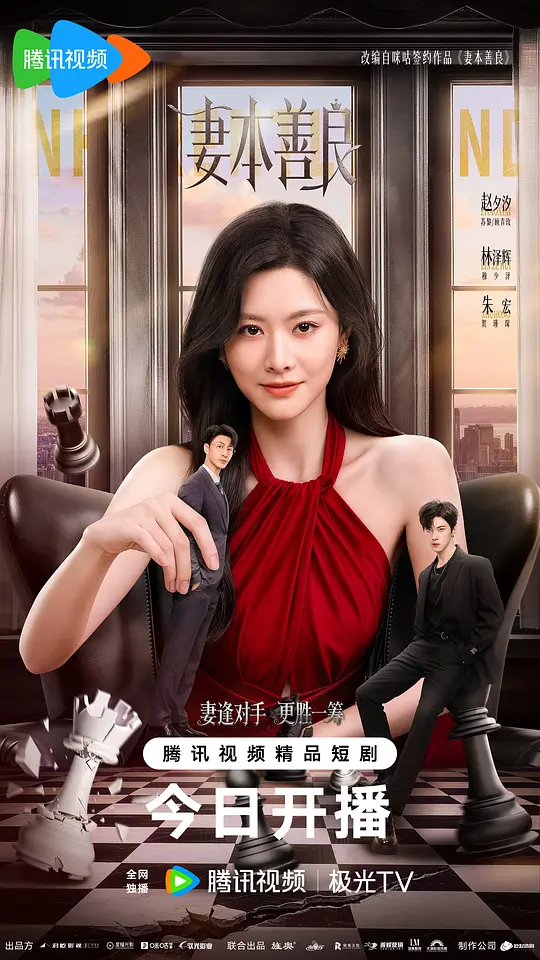 妻本善良封面图