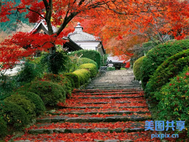 阿拉菲德小路的景色，带有通往房屋的台阶