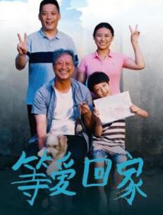 等爱回家封面图
