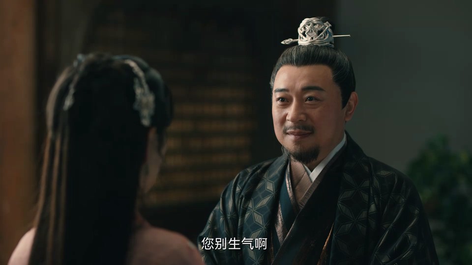 2024国剧《柳叶摘星辰》24集全.HD1080P.国语中字截图