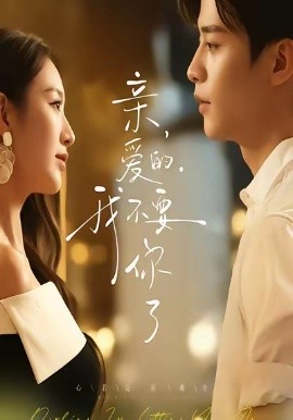 亲爱的，我不要你了封面图