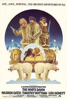 白色黎明封面图