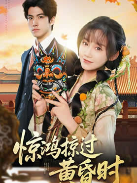 惊鸿掠过黄昏时封面图