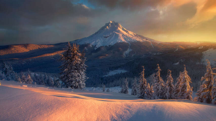 白雪皑皑的山峰，前景是树木