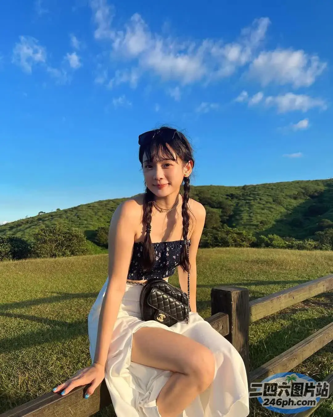 坐在田野篱笆上的阿拉菲德女人