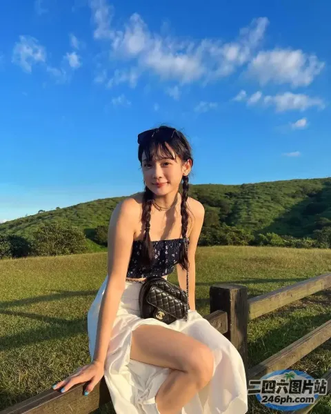 坐在田野篱笆上的阿拉菲德女人