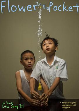 口袋里的花封面图