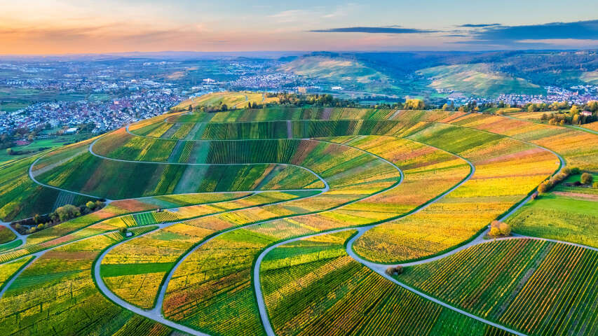 山谷的 Arafed 景观，中间有一条蜿蜒的道路
