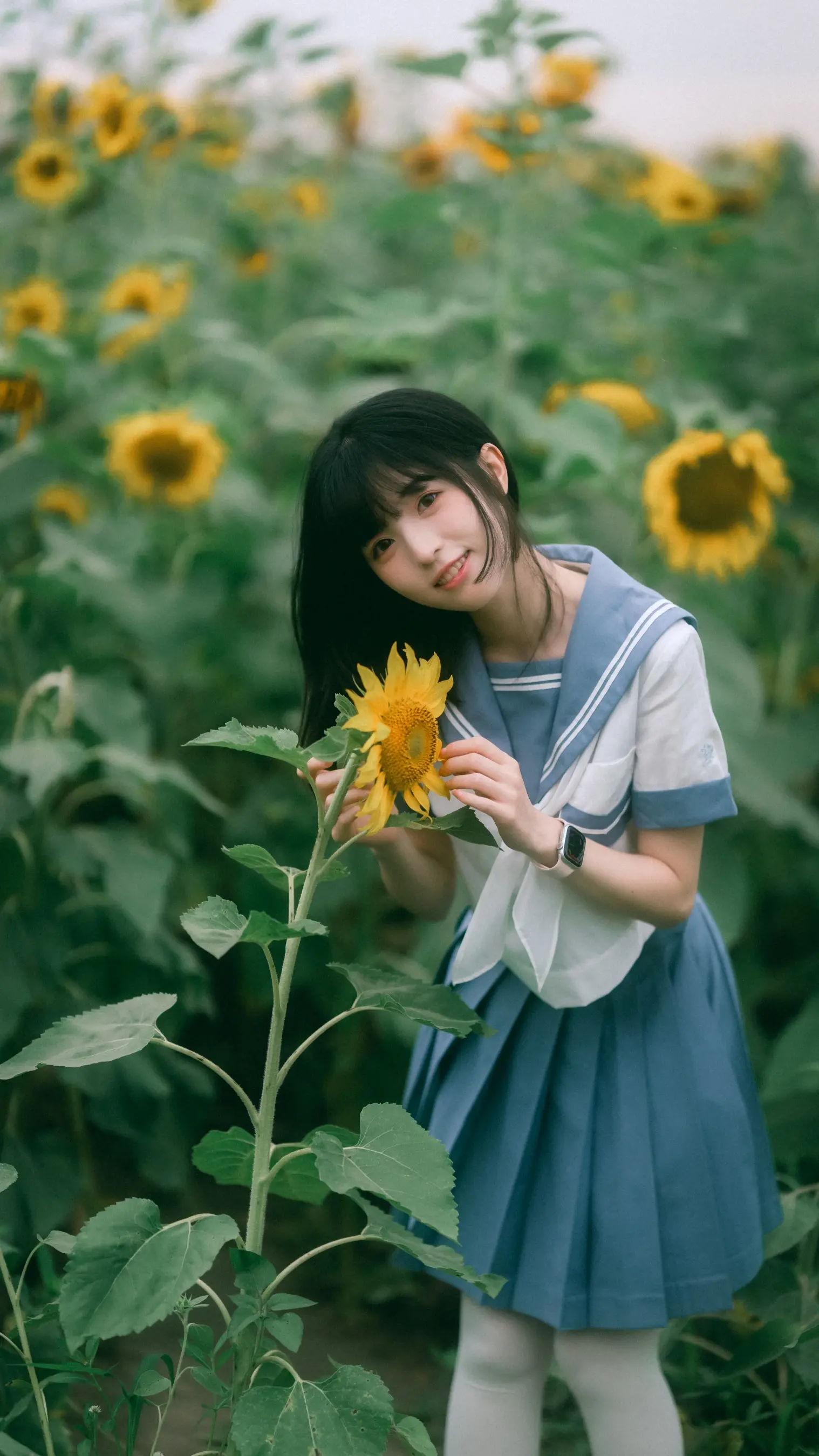 穿着蓝色连衣裙的 arafed 女孩在田野里拿着一朵向日葵