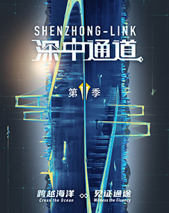 深中通道 （第二季）封面图