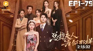 总裁夫人为何那样封面图