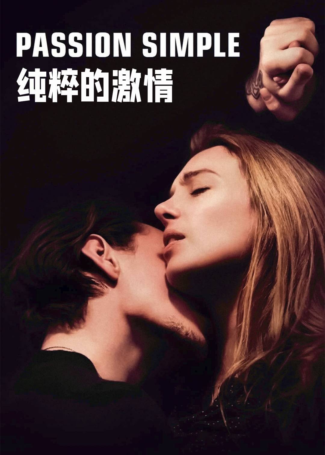 纯粹的激情封面图