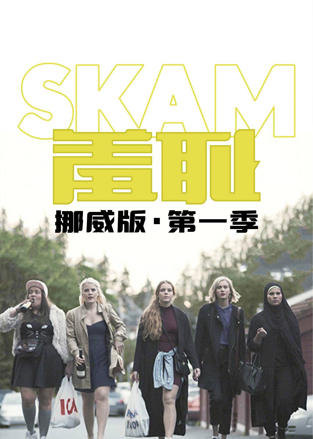 羞耻挪威版第一季封面图