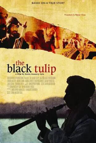 黑色郁金香2010封面图