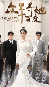 众里寻她千百度封面图